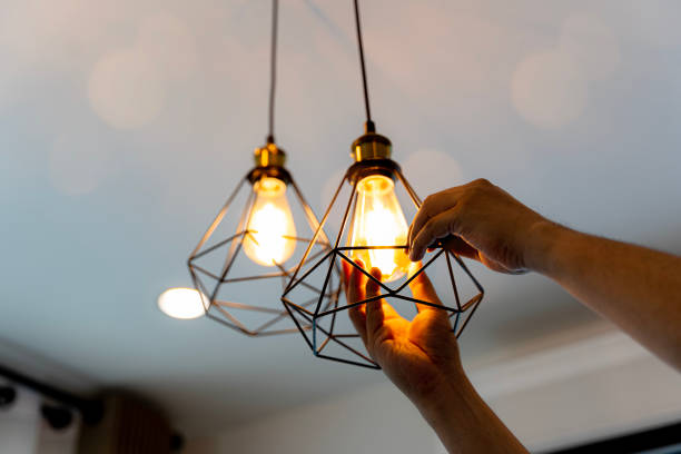 Best Licensed Electrician  in Grant, MN